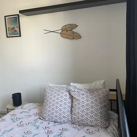 Apartment Bel Spacieux ,convivial De 3 Avec Parking Prive Secure Caen