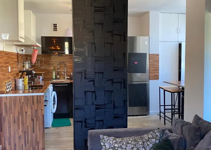 Bel Spacieux ,convivial De 3 Avec Parking Prive Secure