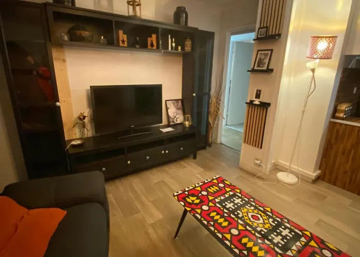 Bel Spacieux ,convivial De 3 Avec Parking Prive Secure *