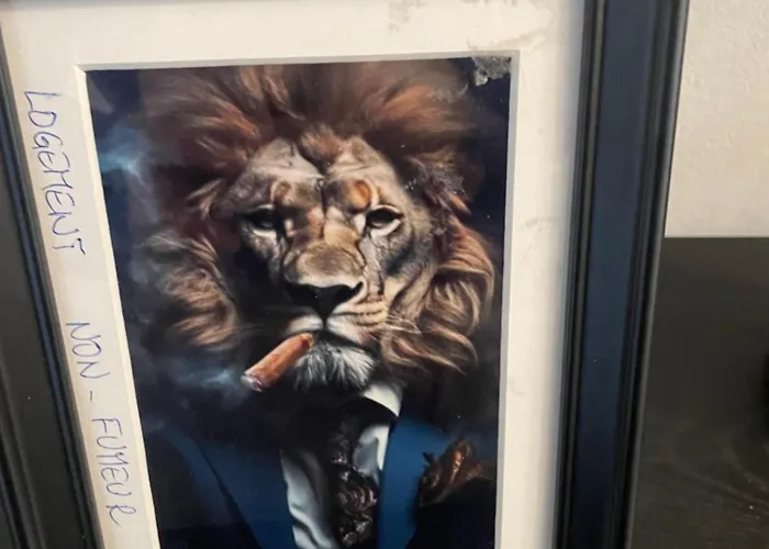 Bel Spacieux ,convivial De 3 Avec Parking Prive Secure 凯恩